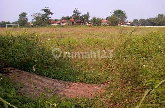 Tanah Millenium Tiga Raksa Cikupa Tangerang