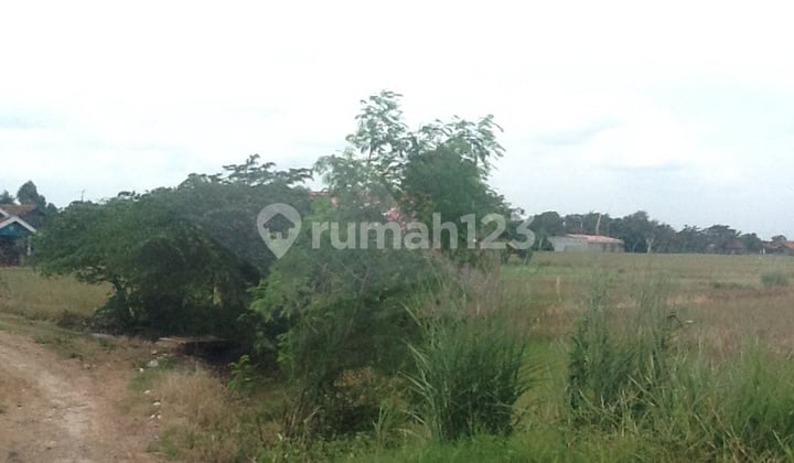 Karawang Barat - Tanjung Pura cocok untuk Perumahan