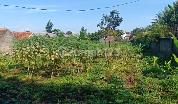 Tanah Sayap Dago, Siap Bangun