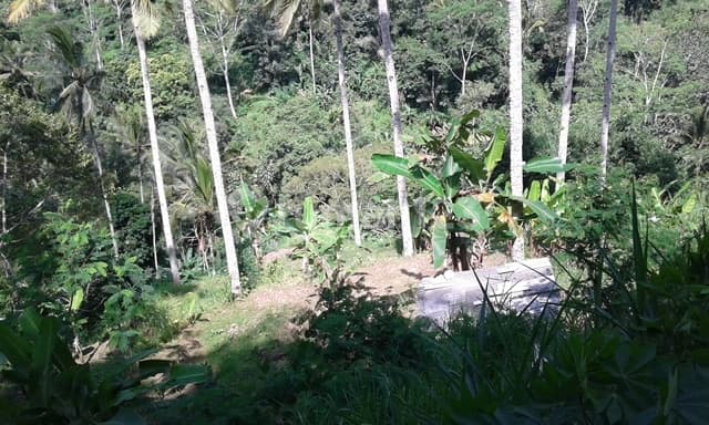 Tanah teras dengan akces luas