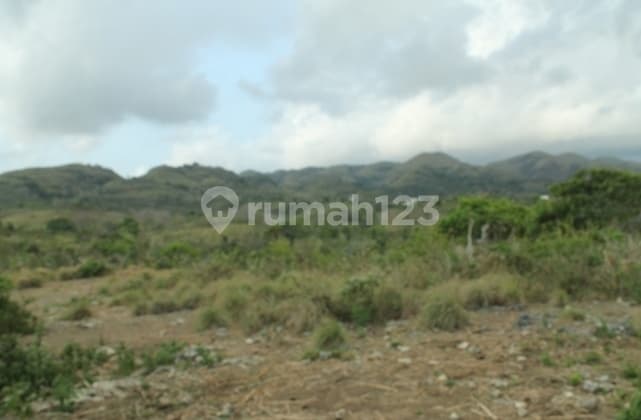 Land For Sale Beach Front