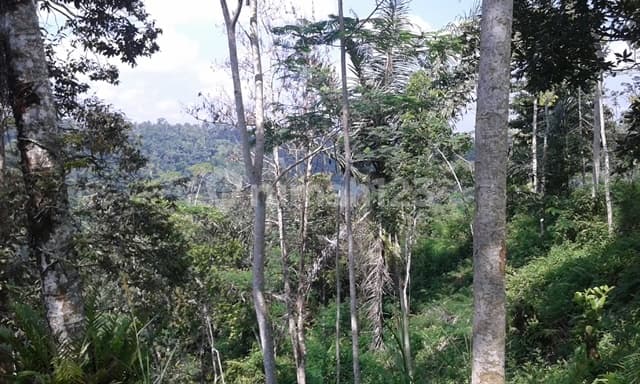 Tanah berlokasi dilingkungan sangat strategis untuk di bangun hotel