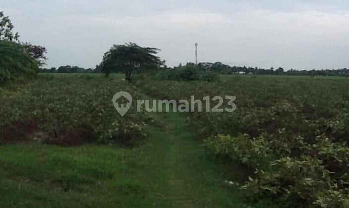 Karawang Barat Jl.Proklamasi, area Pergudangan, Cocok untuk Ruko. Maupun Rumah Cluster.
