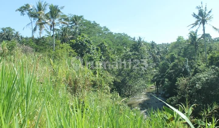 Tanah dengan lebar jalan 6 meter pinggir sungai