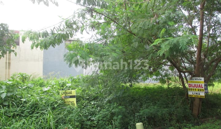 Dijual Kavling di Taman Holandia - Lippo Karawaci