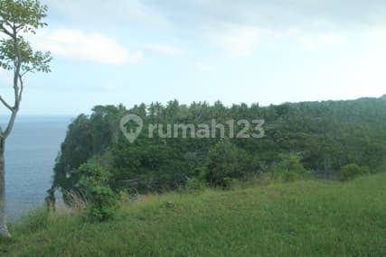 land with beautiful view