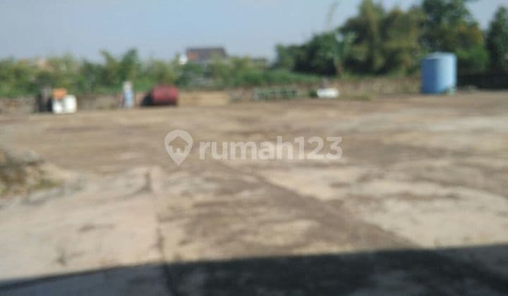 Tanah bisa Masuk Coontainer