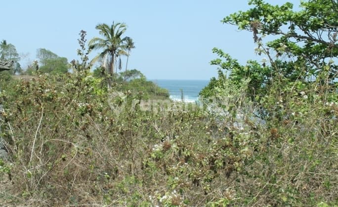 Land For Sale Beach View