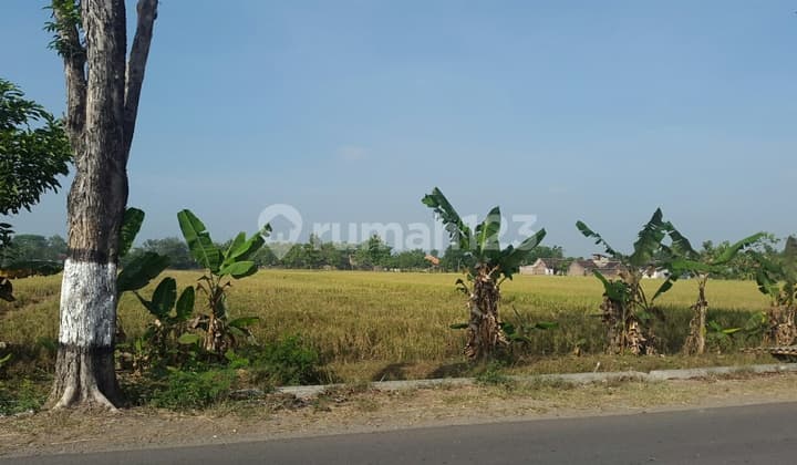 Tanah industri atau gudang strategis di sukoharjo dekat solo baru