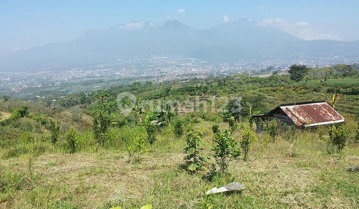 Tanah Strategis Batu Desa Bumiaji