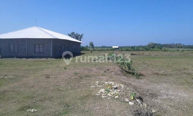 Tanah 2,43 Ha dkt pengolahan ikan,Pelabuhan,pengambengan,Negara,Jembrana