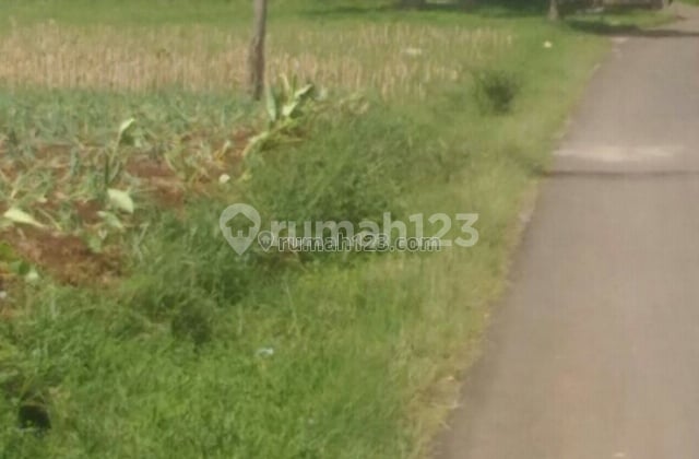 Tanah Muraaah Rp. 95.000 Per Meter Cocok Untuk Kebun, Villa, Peternakan Di Bandung Selatan Rp. 95.000/m²