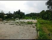 Tanah Murah Strategis Jln Cinangka Dekat Wisata Dan Kampus IpB