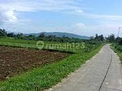Tanah Sawah Murah Strategis Desa Wisata Ciampea Bogor