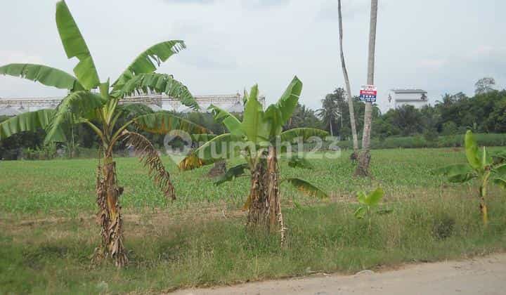 Tanah Jln. Ir. Sutami Atau Jln. Kemang Raya 15 Menit Ke Exit Tol Lematang, Lampung Selatan Tanah Jln. Ir. Sutami Atau Jln. Kemang Raya 15 Menit Ke Exit Tol Lematang, Lampung Selatan