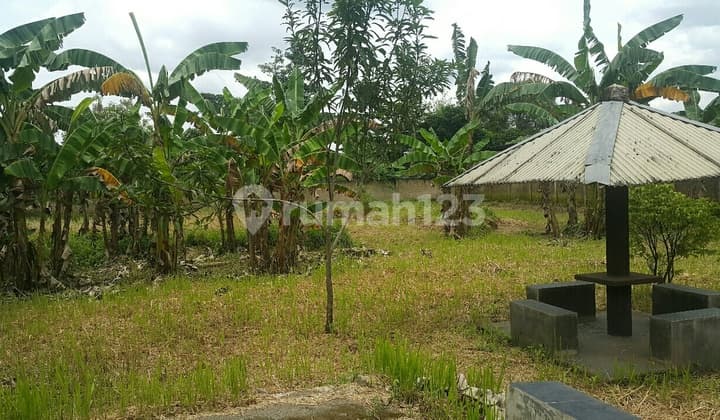 tanah pinggir jalan bisa usaha