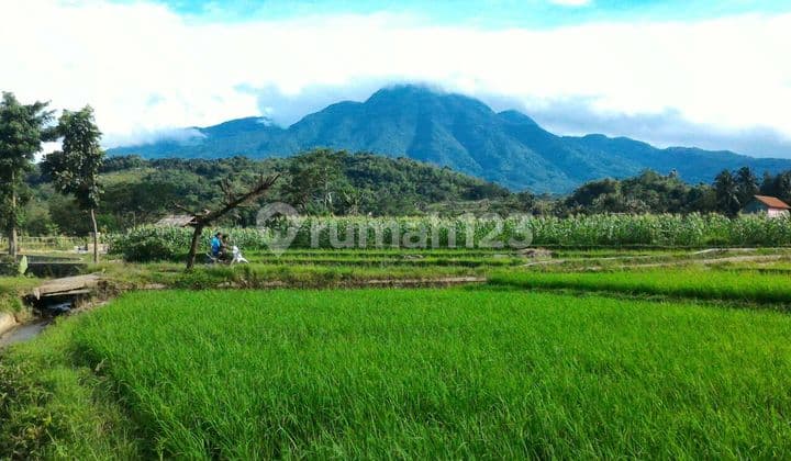 Tanah Subur Asri View Indah Gunung Salak Jalur Wisata Tenjolaya