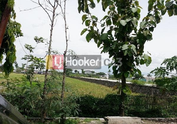 Dijual Kavling di Sragen Solo