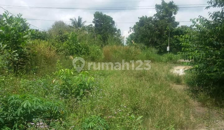 Tanah jl.pasir putih kampar pekanbaru Riau