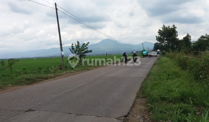 Tanah Rancaekek Bandung Tanah Rancaekek Bandung