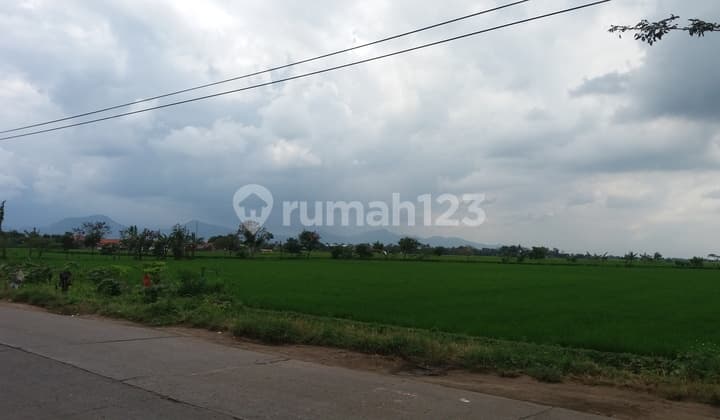 Tanah Izin Industri Rancaekek