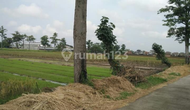 Tanah Murah, Strategis