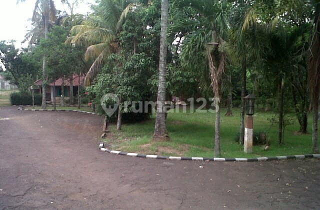 Tajurhalang Bogor, Tanah Luas Dekat Stasiun Untuk Cluster