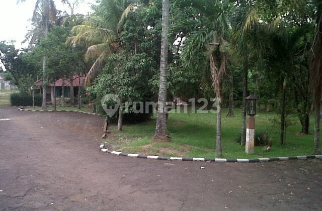 Tajurhalang Bogor, Tanah Luas Dekat Stasiun Untuk Cluster