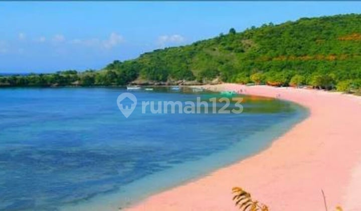 Tanah Los Pantai Pink Beach Harga Nego