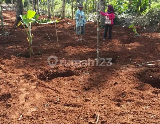 tanah diparung bogor tanah diparung bogor