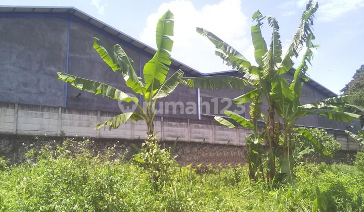 Kavling bagus di jalan Perintis Kemerdekaan Kavling bagus di jalan Perintis Kemerdekaan