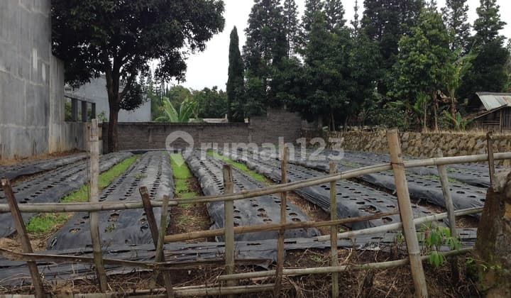 Kavling sejuk di SETIABUDI UTARA