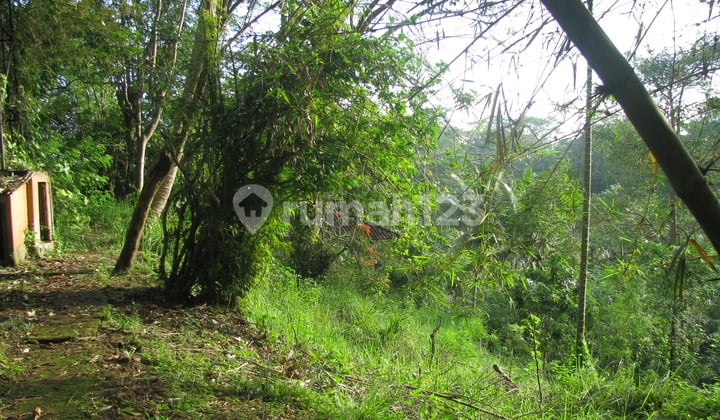 Beautiful land with a view of the river and rice fields