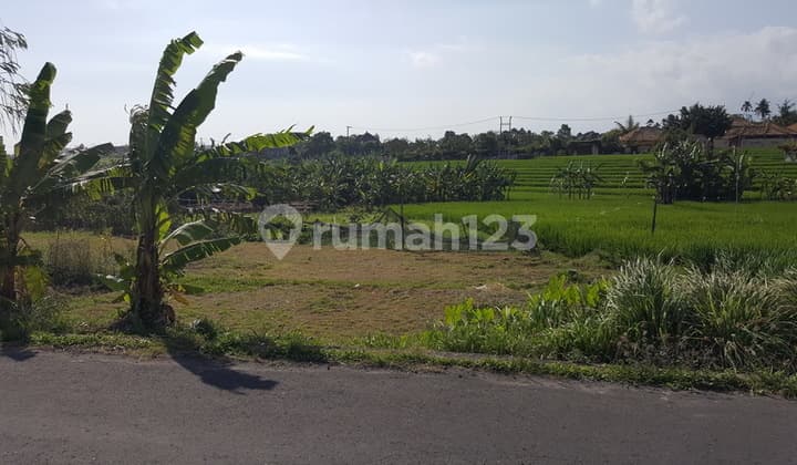 Hanya 500 Meter Dari Pantai Pererenan Bentuk Ngantong