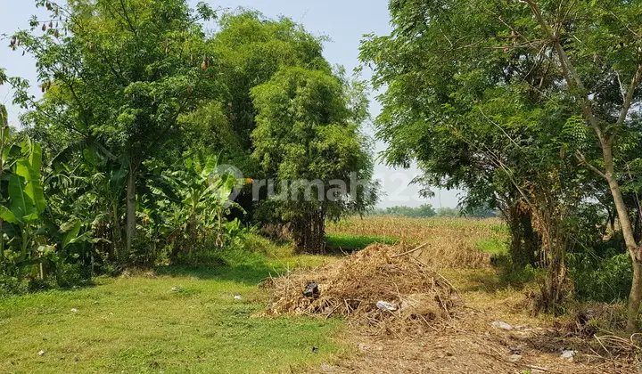 Tanah Industri, Kutorejo, Mojokerto