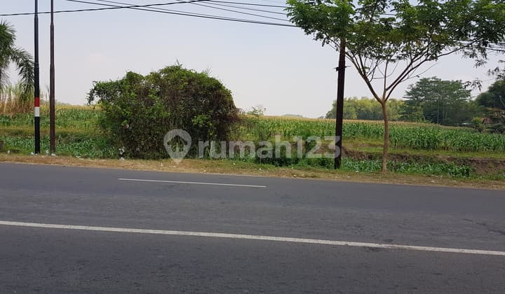 Tanah Industri, Raya Dlanggu, Mojokerto