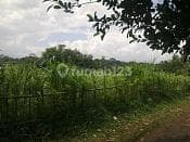 BojongGede Tnh 5315m2 Akses Toll Desari ke Cibinong Toll 1JT/m toll sdh 3km lagi