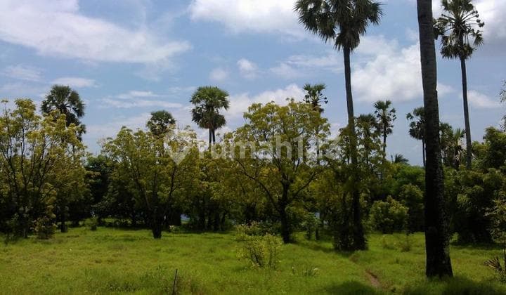Tanah di Pantai, Luas 8.300m2, Shm, di Tulamben, Karangasem, Bali
