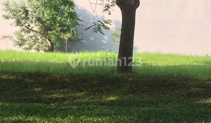 Kavling manyar bagus siap bangun Kavling manyar bagus siap bangun