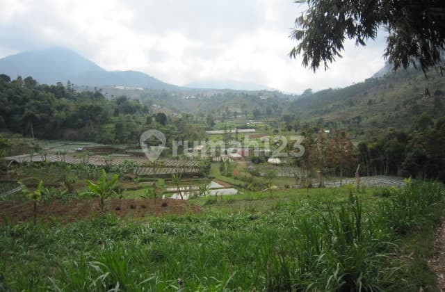 TANAH TOP DI MARIBAYA LEMBANG