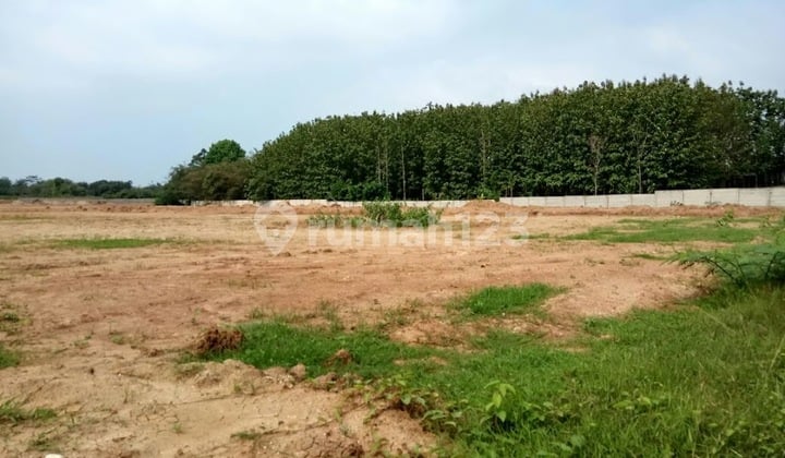 Kavling Industri Cikande Rangkasbitung 2Ha SIAP PAKAI