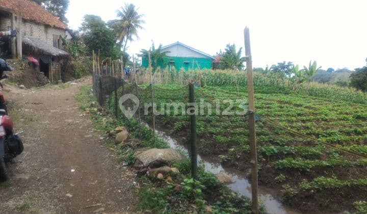 Tanah Subur View Gunung Salak Jalur Wisata Tenjolaya Bogor