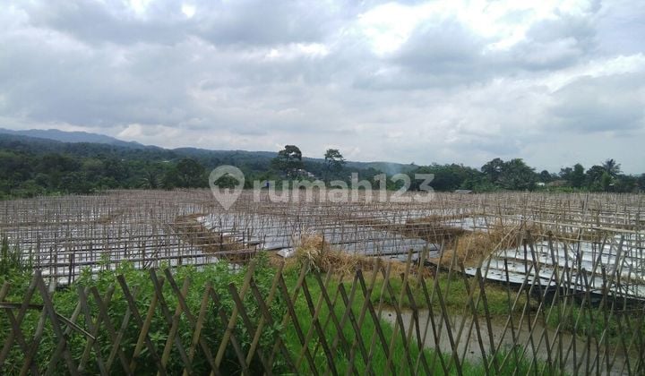 Tanah Pertanian Subur Air Bagus Untuk Agro Tani Dan Perikanan