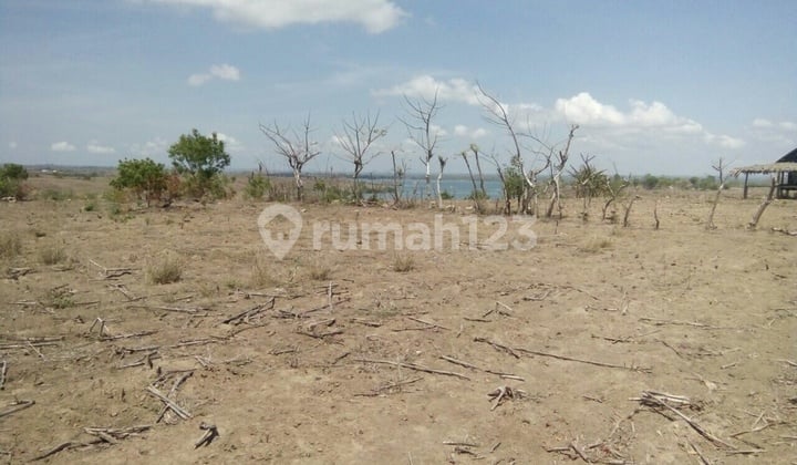 Lahan Murah View Pantai Depan Hotel Pantai Pink Lombok