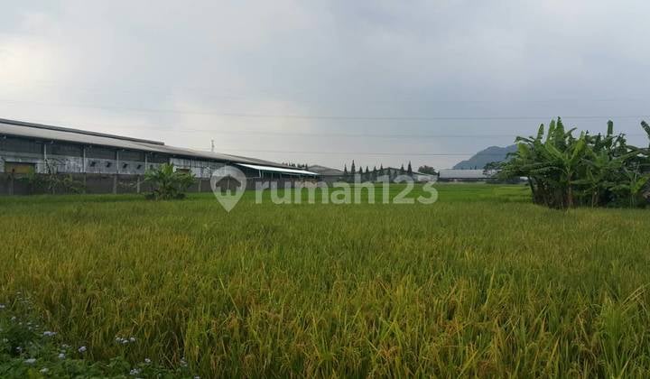 Tanah Cimareme Bandung Tanah Cimareme Bandung