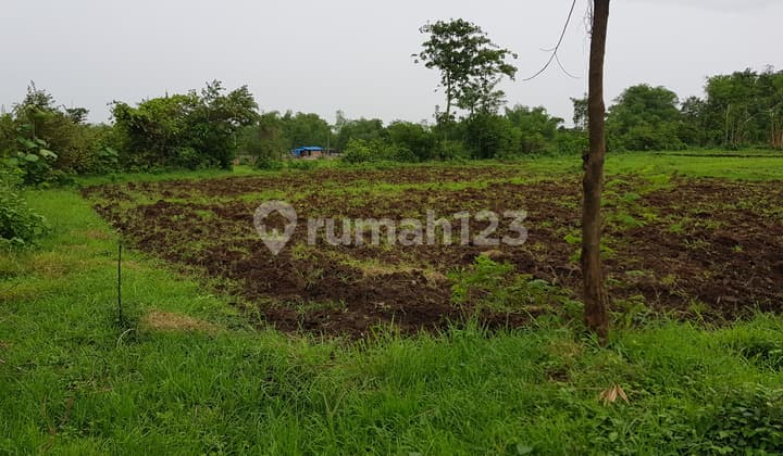 Tanah Industri Ngoro, Mojokerto, Jawa Timur, Siap Bangun, Tanpa Uruk, SHM