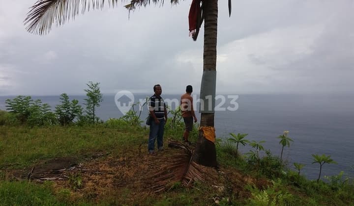 nusa penida land