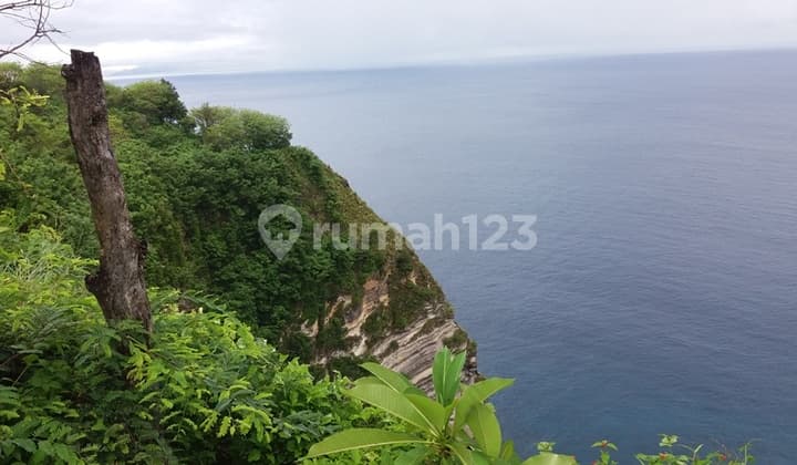 land nusa penida island