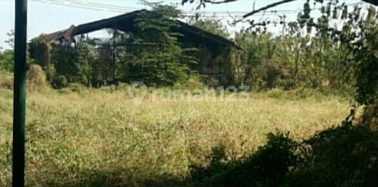 Land in Palmwatu Gresik Land in Palmwatu Gresik