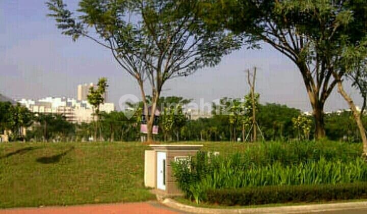 lot The Royal Orchard